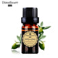 Natural organic  essential oil Base oil body massage